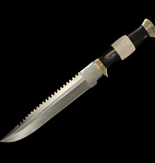 Stainless Steel Bowie Knife