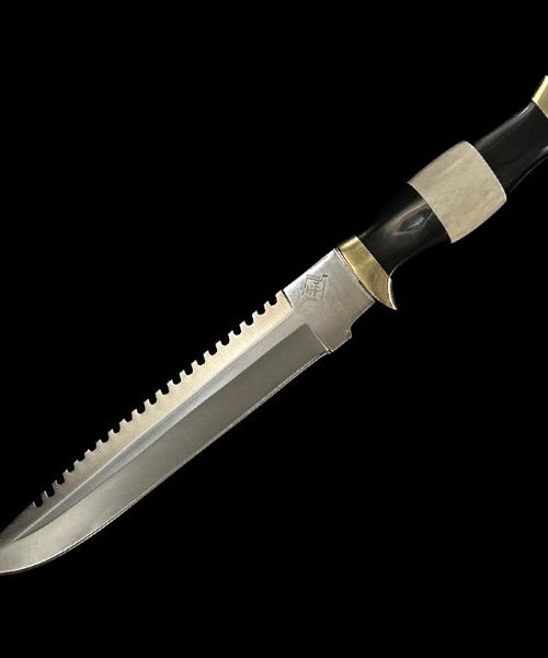 Stainless Steel Bowie Knife