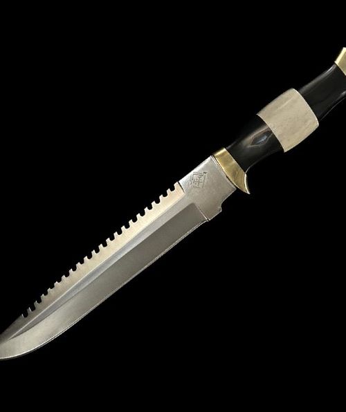 Stainless Steel Bowie Knife
