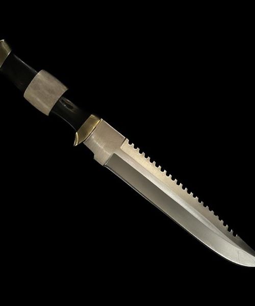 Stainless Steel Bowie Knife